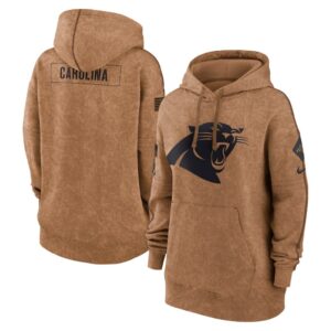 Carolina Panthers Nike Women's 2023 Salute to Service Pullover Hoodie - Brown